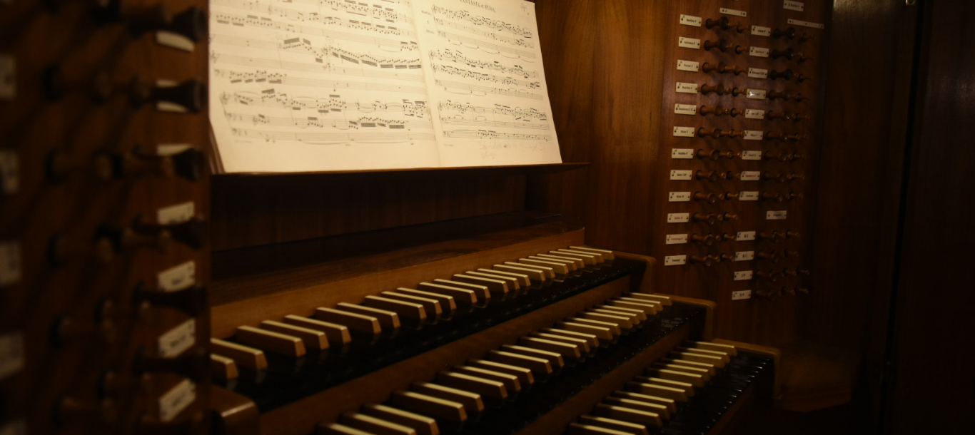 ბანერი 2